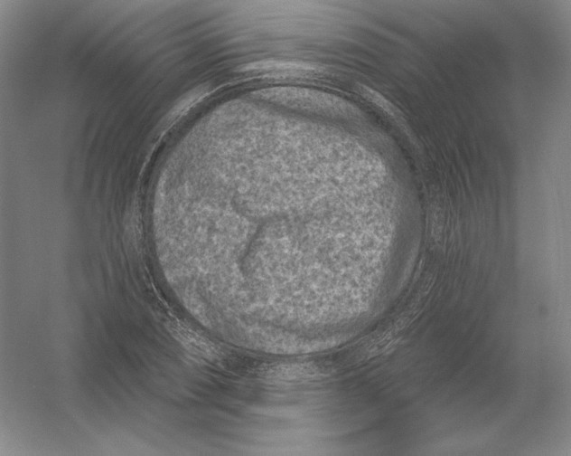 X0000054381074200508270001