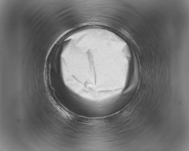 X0000054381076200508270001