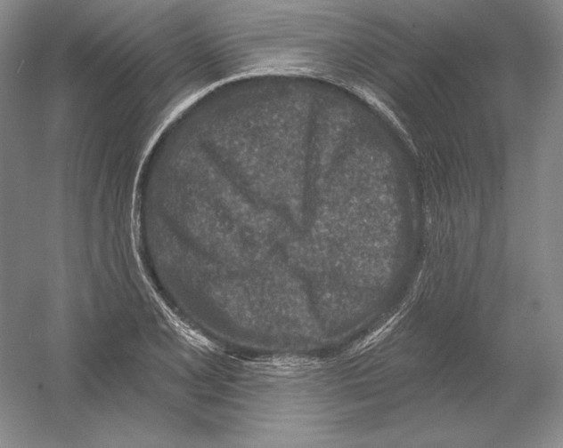 X0000054381077200508270001