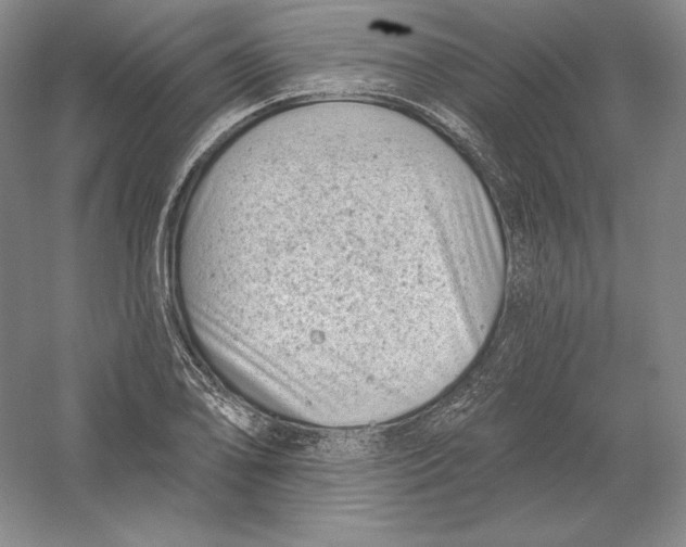 X0000054381078200508270001