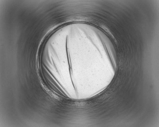 X0000054381080200508270001