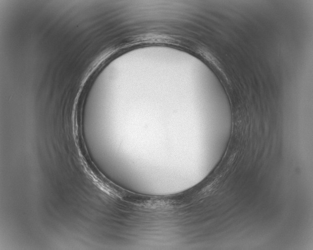 X0000054381082200508270001