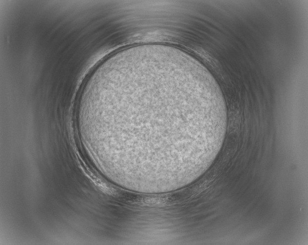 X0000054381086200508270001