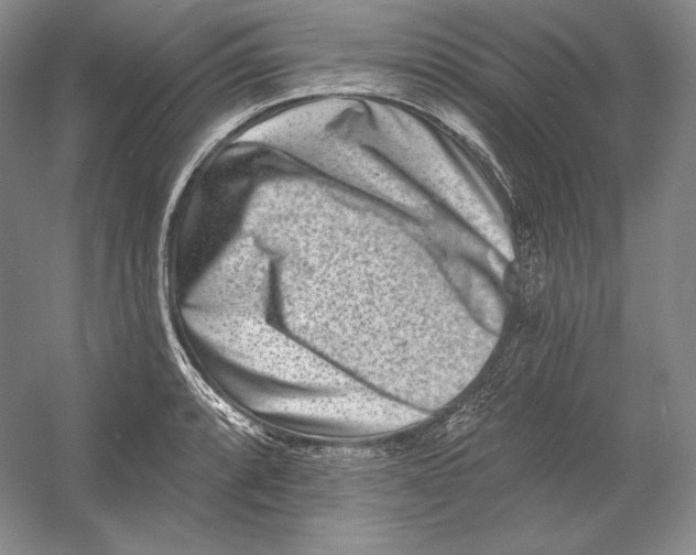 X0000054381088200508270001