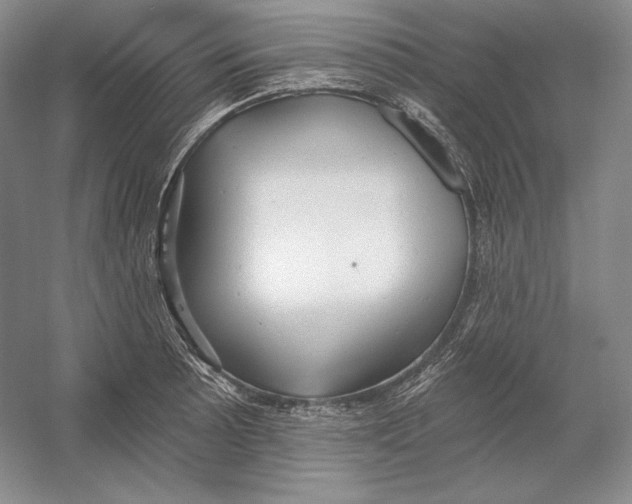 X0000054381089200508270001