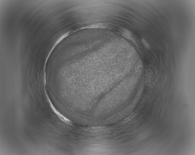 X0000054381095200508270001