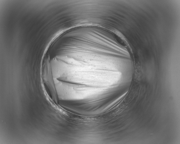 X0000054381096200508270001