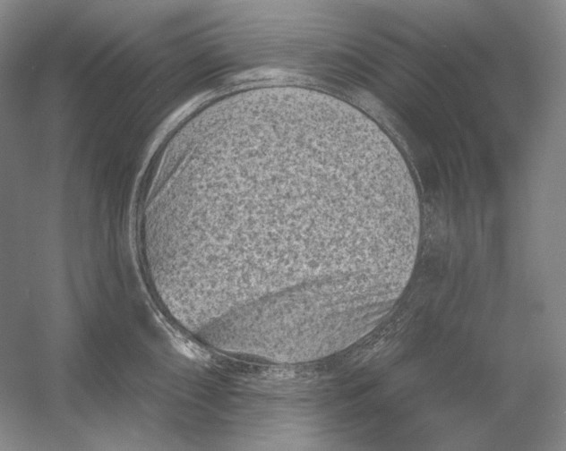 X0000054381098200508270001