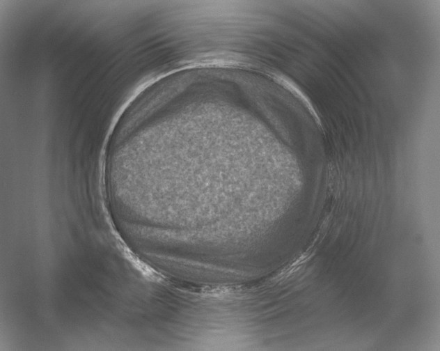 X0000054381099200508270001