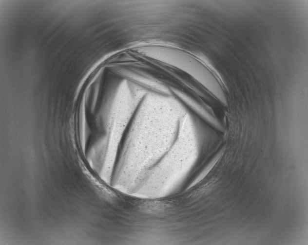 X0000054381100200508270001