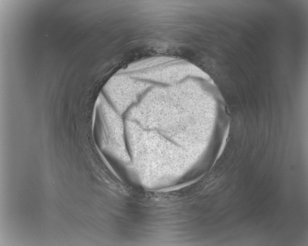 X0000054381105200508270000