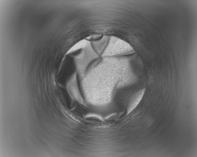 X0000054381106200508270000