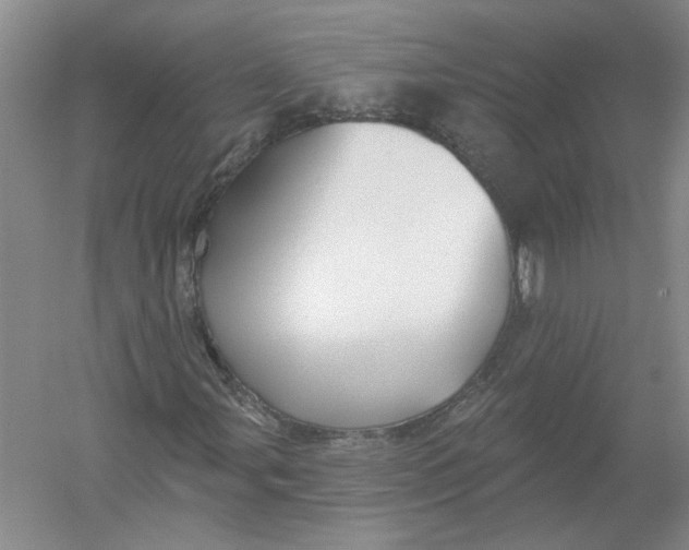 X0000054381107200508270000