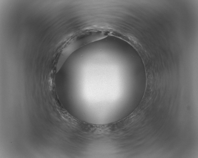 X0000054381110200508270000