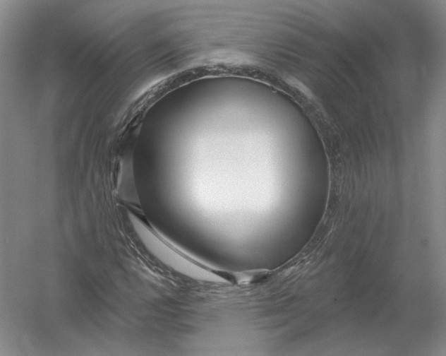 X0000054381112200508270000