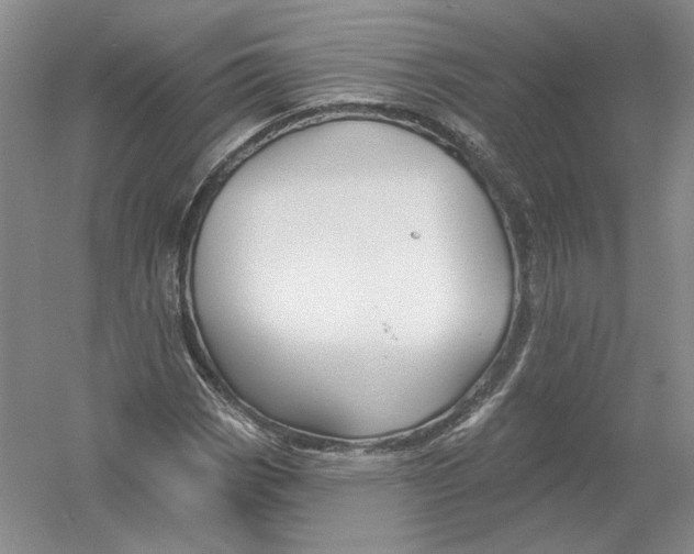 X0000054381113200508270000