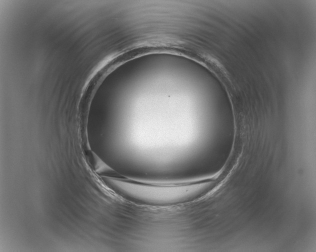 X0000054381114200508270000