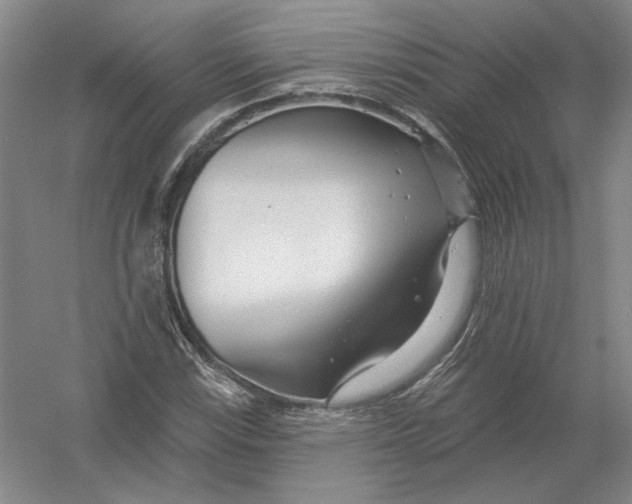 X0000054381115200508270000