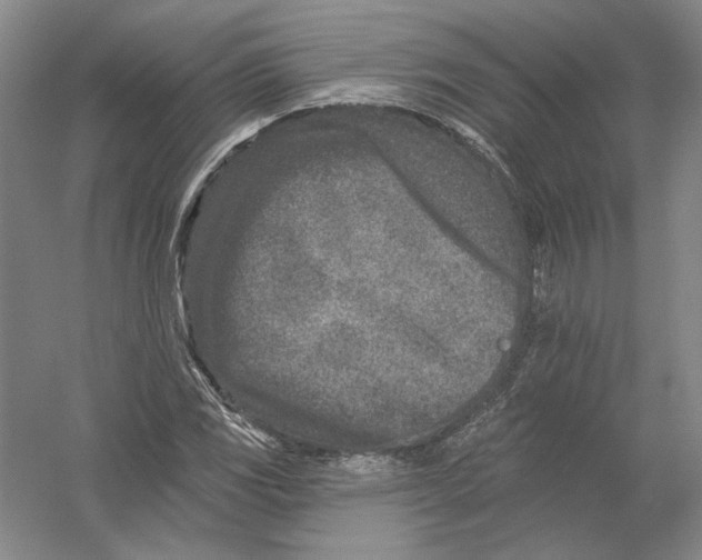 X0000054381117200508270000