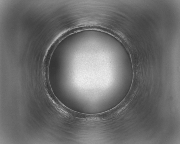 X0000054381118200508270000