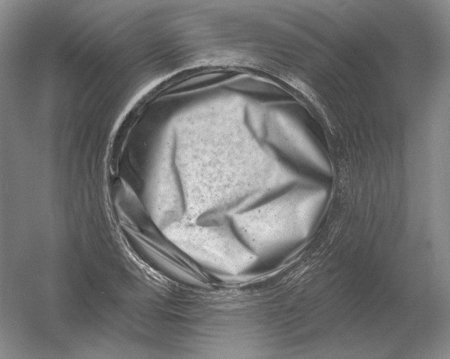 X0000054381120200508270000