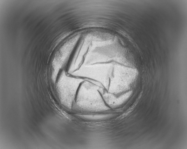 X0000054381121200508270000