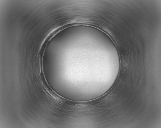 X0000054381123200508270000