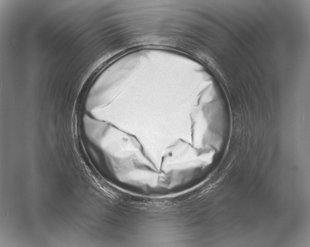 X0000054381125200508270000