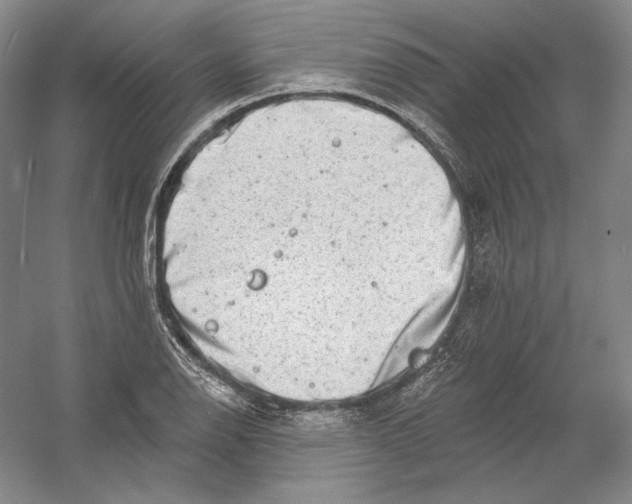 X0000054381126200508270000