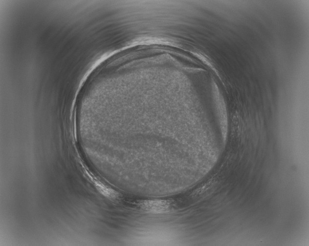 X0000054381127200508270000