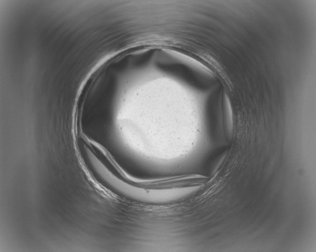 X0000054381128200508270000