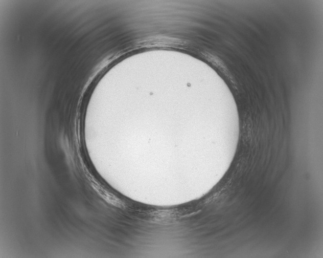 X0000054381130200508270000