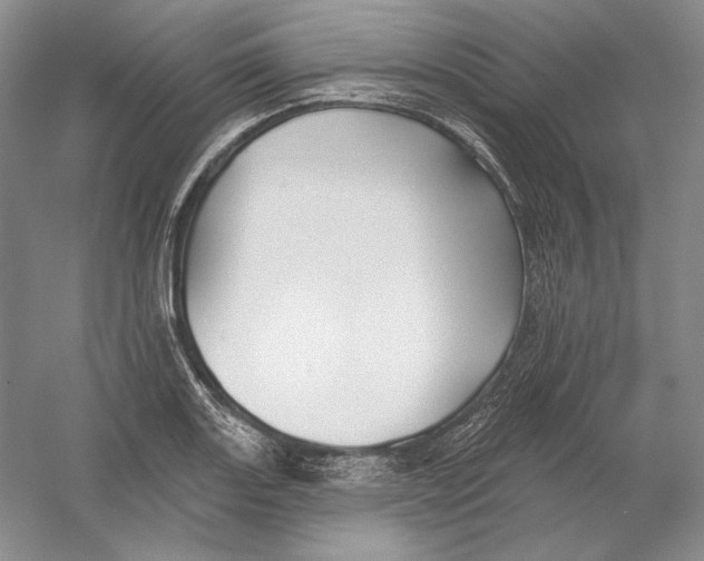 X0000054381131200508270000