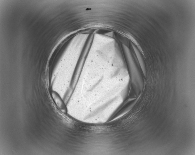 X0000054381132200508270000