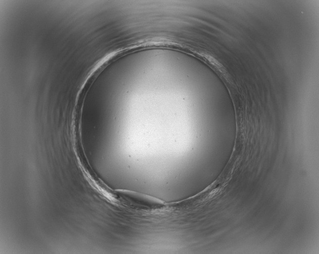 X0000054381134200508270000