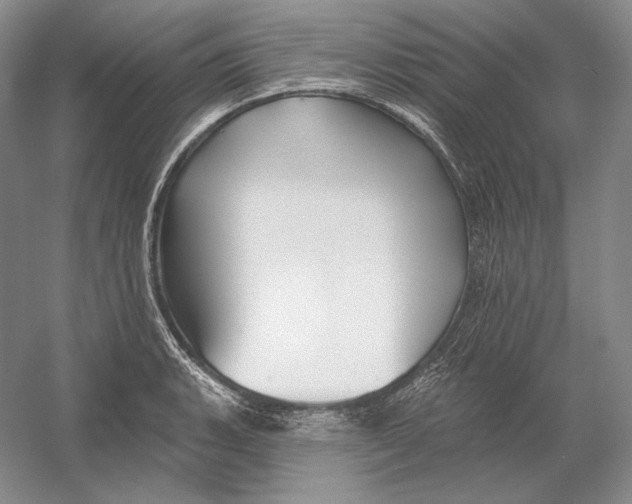 X0000054381135200508270000