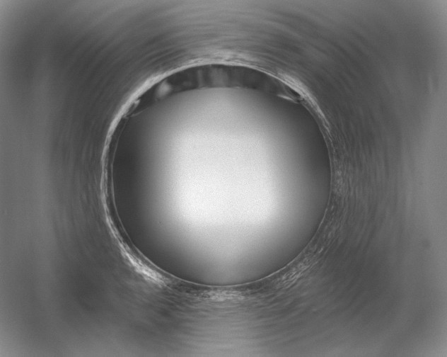 X0000054381136200508270000