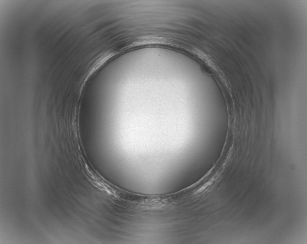 X0000054381137200508270000