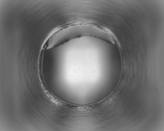 X0000054381138200508270000