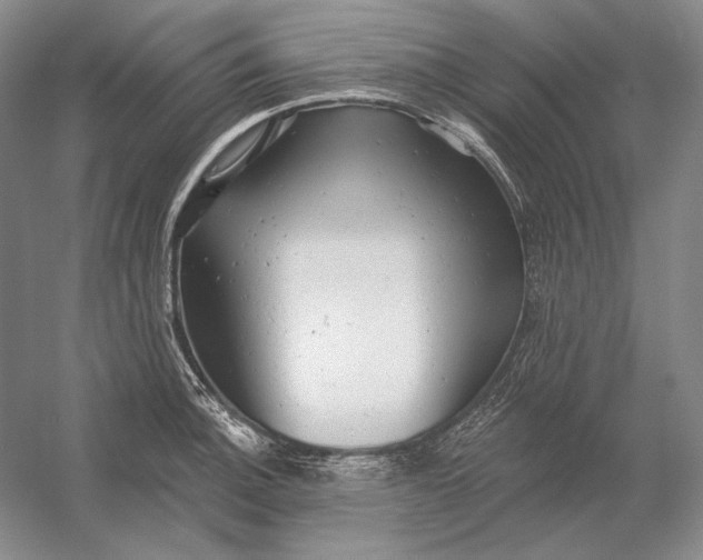 X0000054381140200508270000