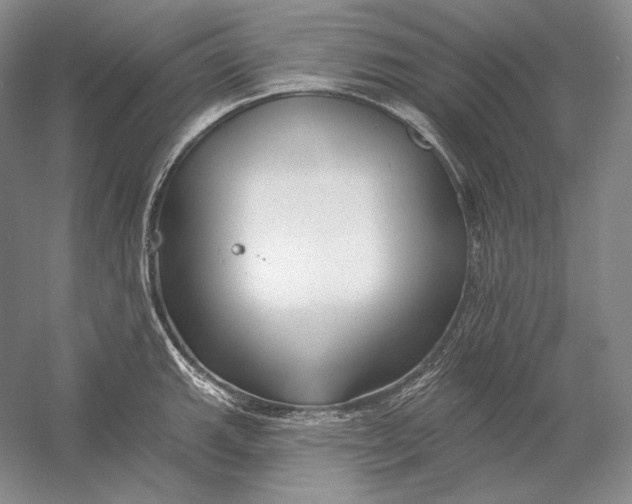 X0000054381143200508270001