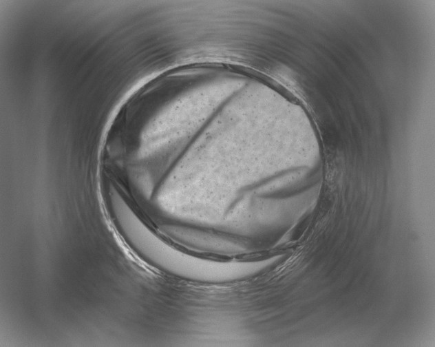 X0000054381144200508270001