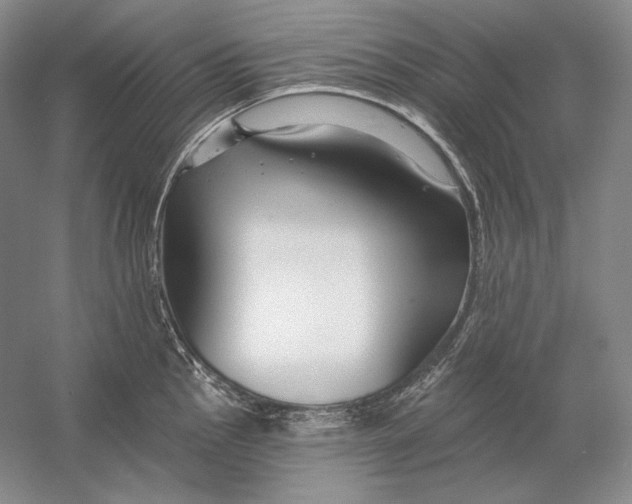 X0000054381145200508270001