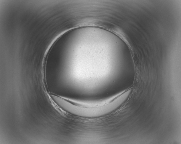 X0000054381148200508270001