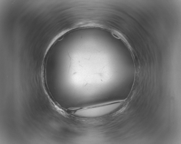 X0000054381149200508270001