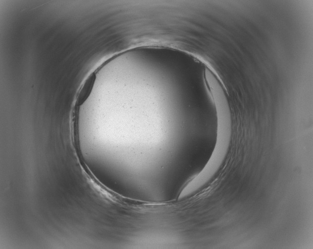 X0000054381151200508270001