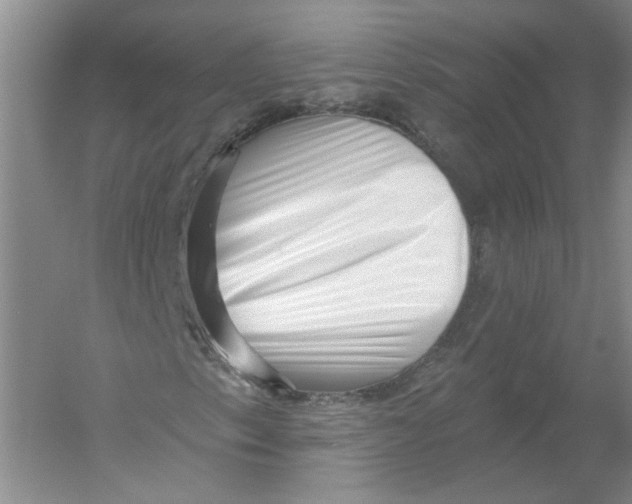 X0000054381153200508270000