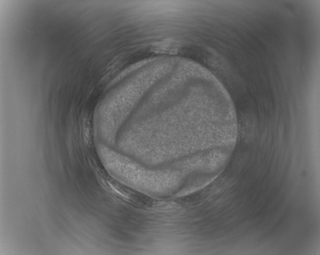 X0000054381154200508270000