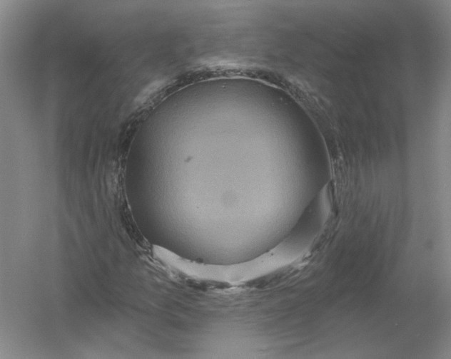 X0000054381157200508270000