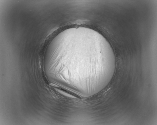 X0000054381158200508270000